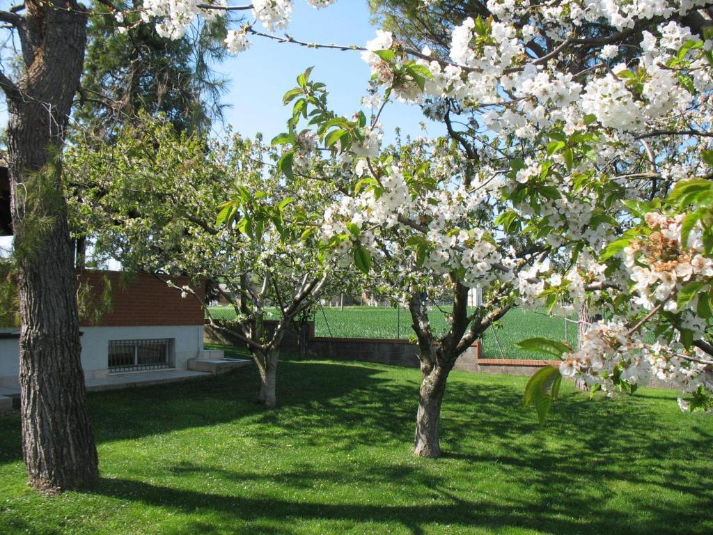Bed & Breakfast Bompadre Civitanova Marche Exterior foto